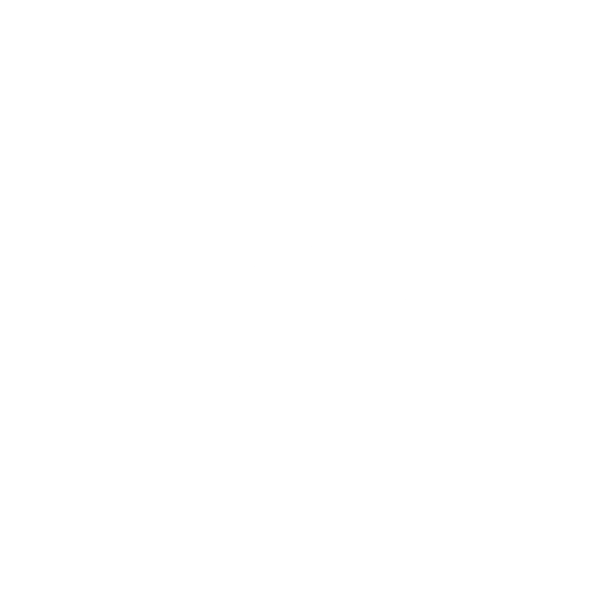 Flan(1)