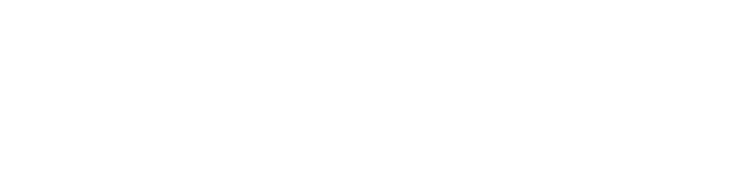 Maven Bag